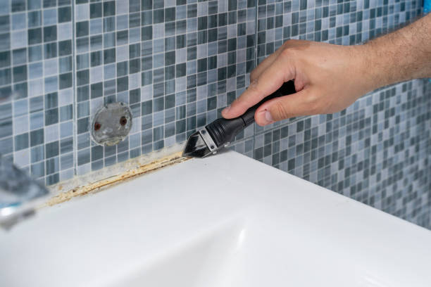 Best Home Mold Removal  in Calumet, PA