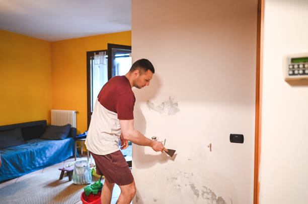 Home Mold Removal in Calumet, PA